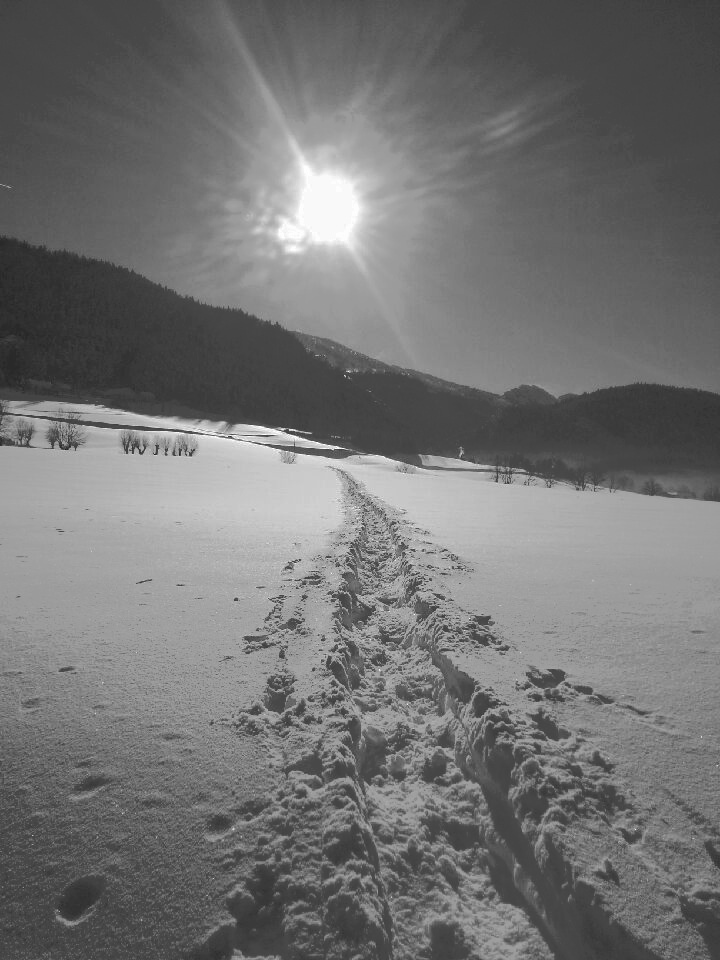 L'histoire du ski alpin 